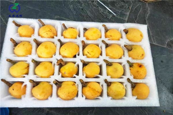 說一說珍珠棉水果托的特點有哪些？